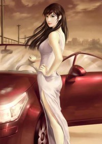 至尊战神女婿