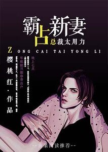 霸占新妻:总裁大人太用力