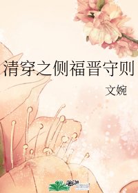 （BG/清穿同人）清穿之側福晉守則